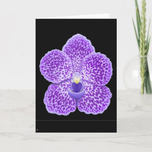Cartão de Saudação de Flor da Orquídea Azul