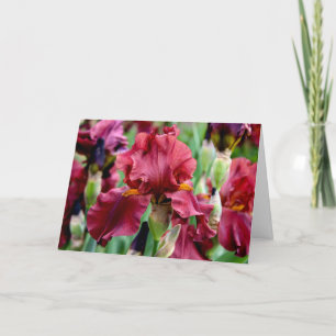 Cartão de Saudação de Flor de Íris Borgonha (Em Br