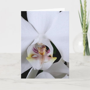 Cartão de saudação de flor de orquídea branca
