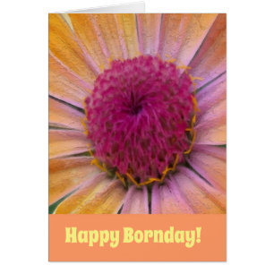 Cartão de saudação de Flor Rosa e Amarelo Dahlia