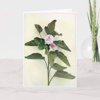 Cartão de saudação de Flor Selvagem do vazio