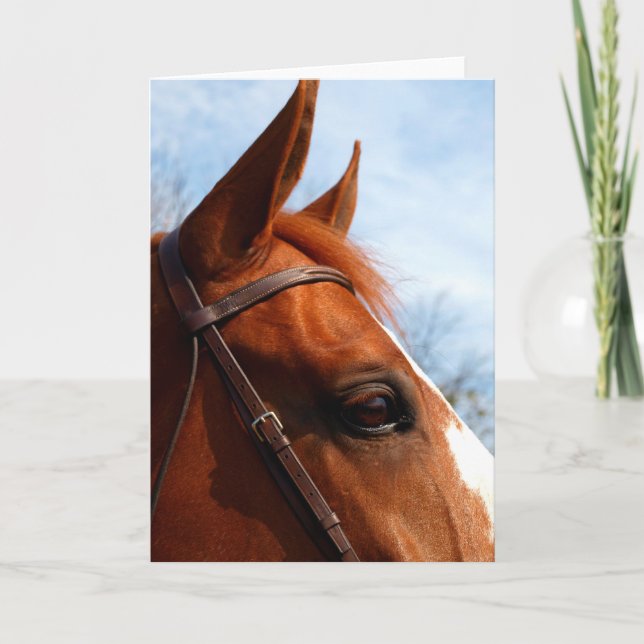 Cartão de Saudação de Foto da Cabeça do Cavalo (Frente)