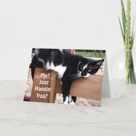 Cartão de Saudação de Foto de Gato Engraçado Fazen