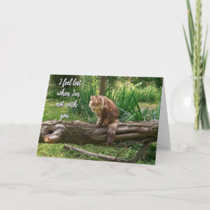 Cartão de Saudação de Foto Dobrada para Cat Ausent