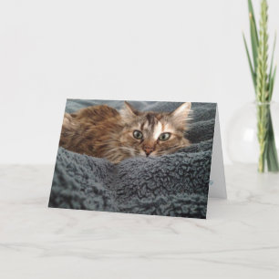 cartão de saudação de gatinho nº 1