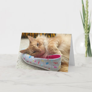 cartão de saudação de gatinho nº 3