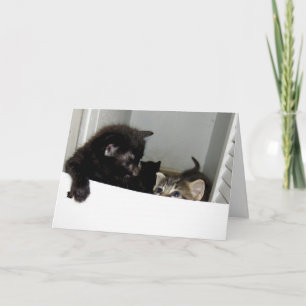 Cartão de Saudação de Gatinhos Escapando