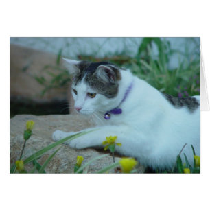 Cartão de Saudação de Gato de Jardim
