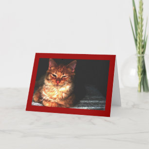 Cartão de Saudação de Gato de vazio...