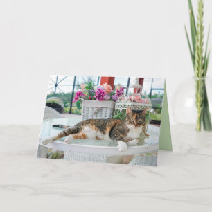 cartão de saudação de gato primavera