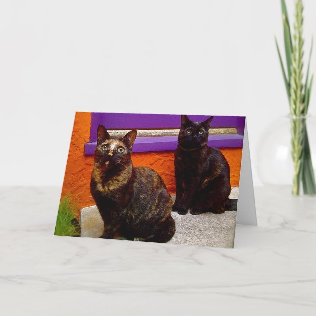 Cartão de Saudação de Gatos Macacos Místicos (Frente)