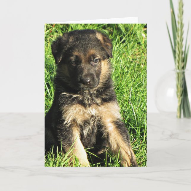 Cartão de saudação de german shepherd (Frente)