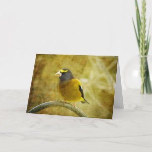 Cartão de Saudação de Grosbeak Evening Texturizado