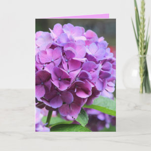 Cartão de Saudação de Hydrangea Roxo