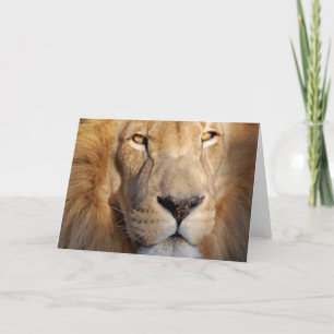 Cartão de Saudação de Imagens Lion