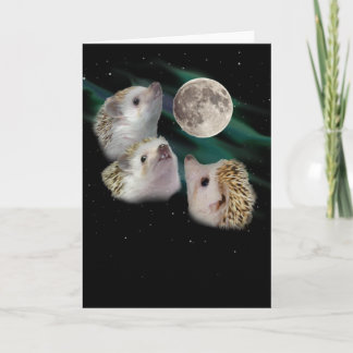 Cartão de Saudação de Lua de Hedgehog