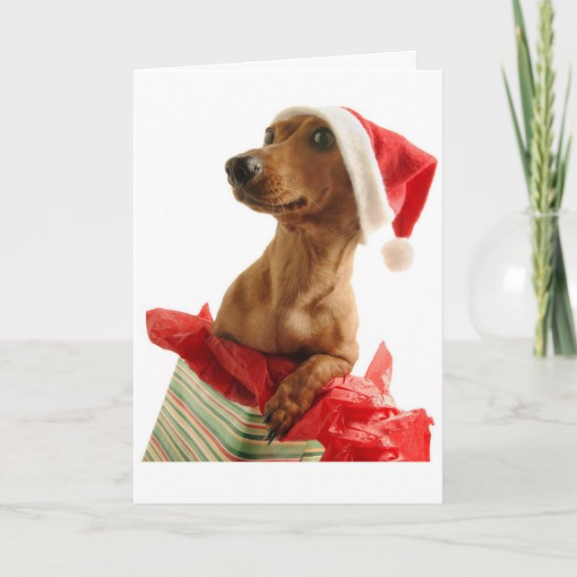 Cartão de Saudação de Natal Dachshund (Frente)