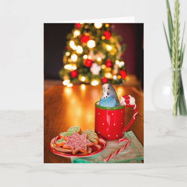 Cartão de Saudação de Natal de Periquito Azul Dobr (Frente)