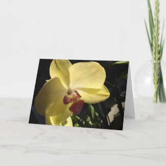 Cartão de Saudação de Orquídea Amarela em Branco