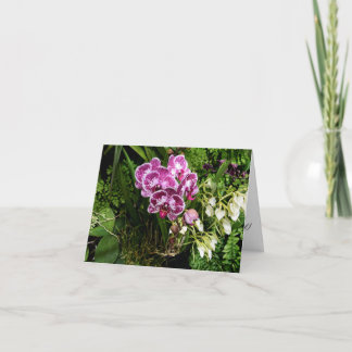 Cartão de Saudação de Orquídeas para Todas as Ocas