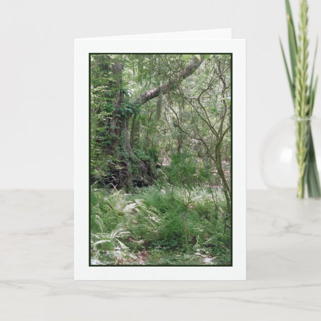 Cartão de Saudação de Paisagem Primordial (Frente)