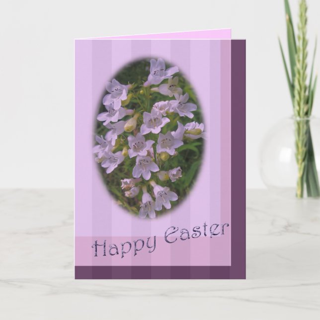 Cartão de saudação de páscoa - Barba de Foxglove - (Frente)