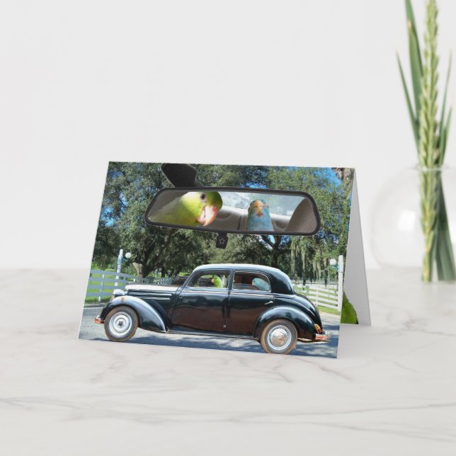 Cartão de saudação de pássaros Daisy Parrotlet (Frente)