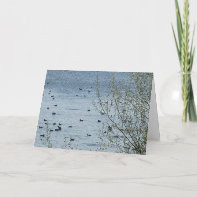 Cartão de Saudação de Pássaros do Lago (Frente)