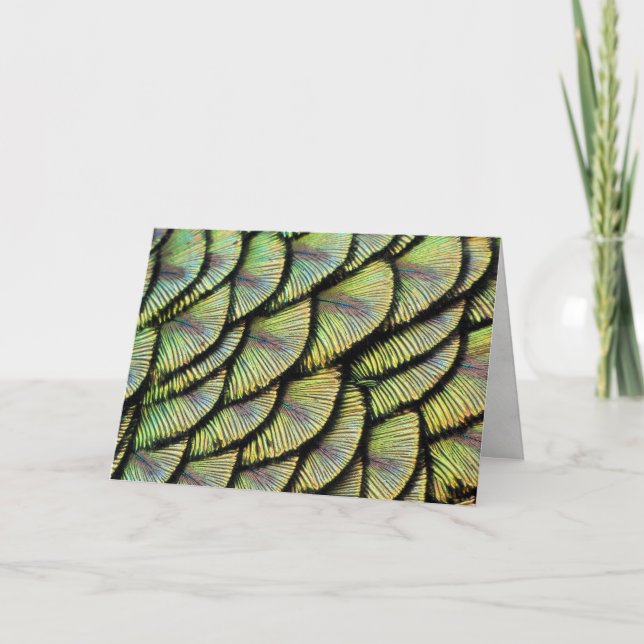 Cartão de Saudação de Penas de Peacock (Frente)