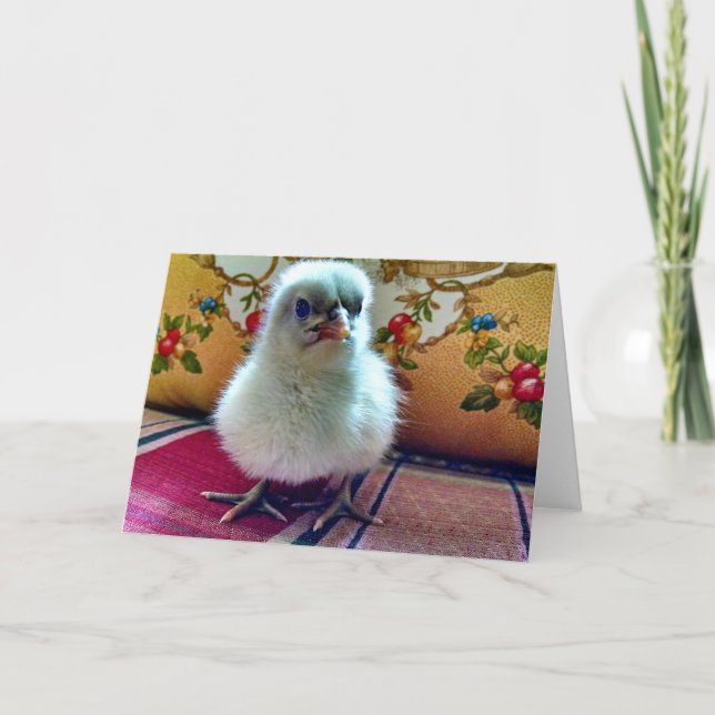 Cartão de saudação de Pintinho bebê (Frente)
