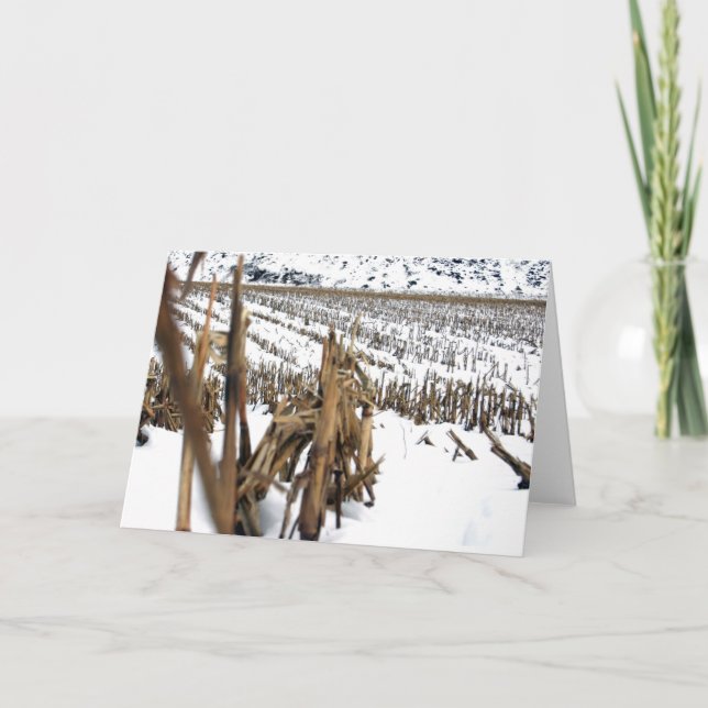 Cartão de Saudação de Poesia de Campo Corn (Frente)