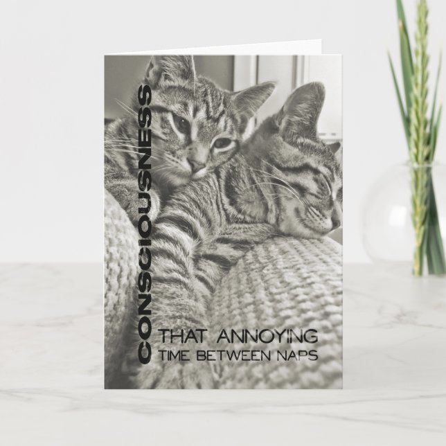 Cartão de Saudação de QUARENTA PISCAR OS OLHOS (Frente)