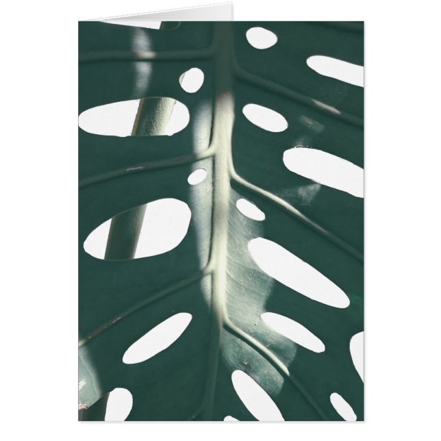 Cartão de Saudação de Queijo Suíço de Pastel Verde (Frente)