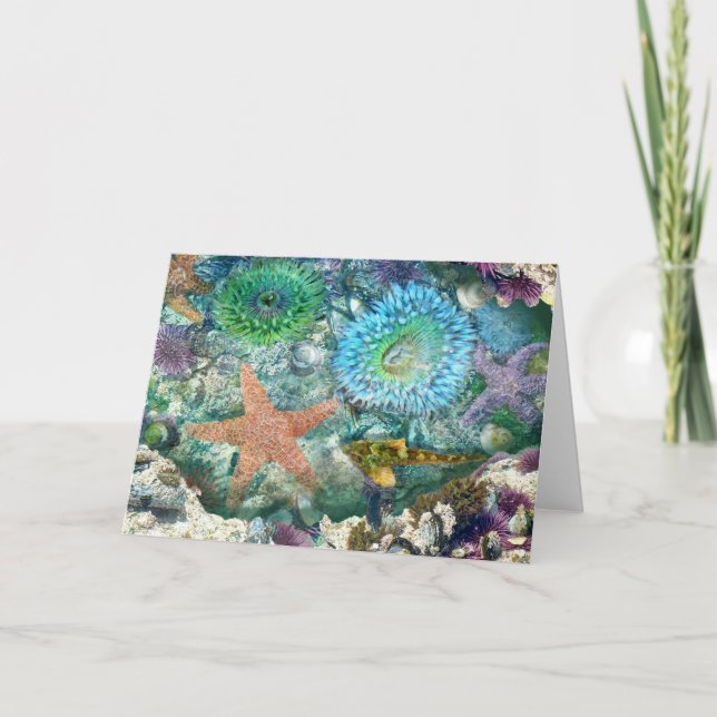 Cartão de Saudação de Reflexões do Tidepool (Frente)