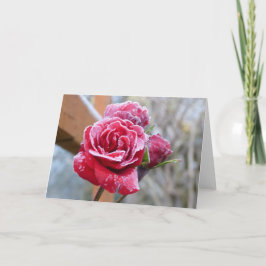 Cartão de saudação de Rosa congelado