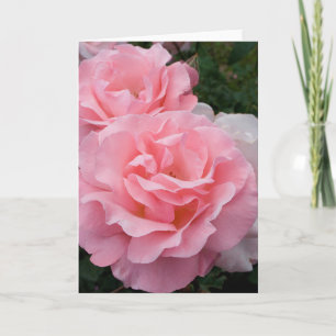 Cartão de Saudação de Rosas Rosa