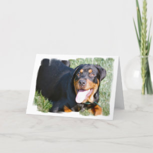 Cartão de Saudação de Rottweiler Amigável