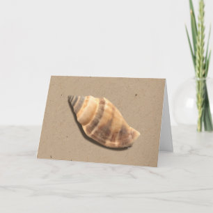 Cartão de Saudação de Shell de Conch Strike Bro