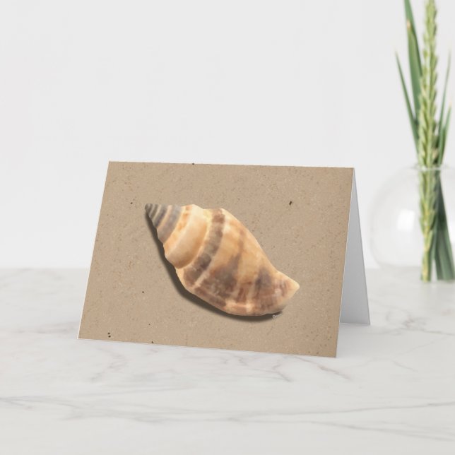Cartão de Saudação de Shell de Conch Strike Brown  (Frente)