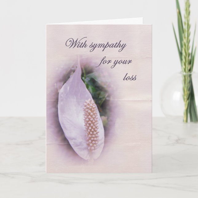 Cartão de Saudação de Simpatia - Anthurium Branco (Frente)