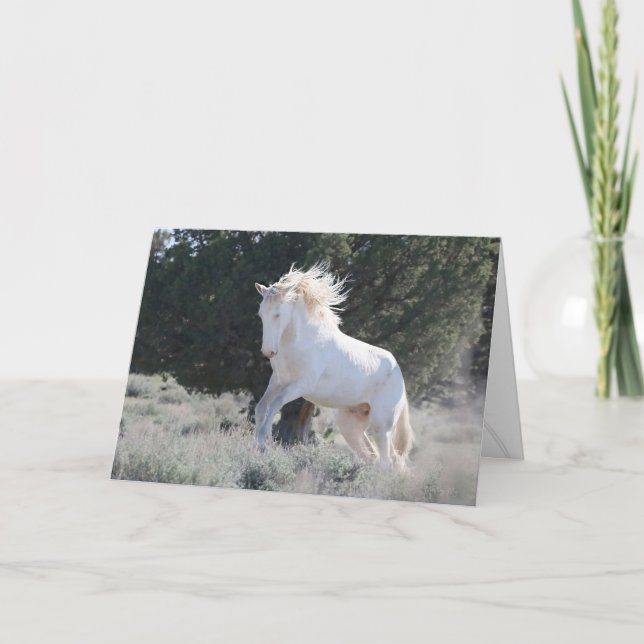 Cartão de Saudação de Sobrevivência (Frente)