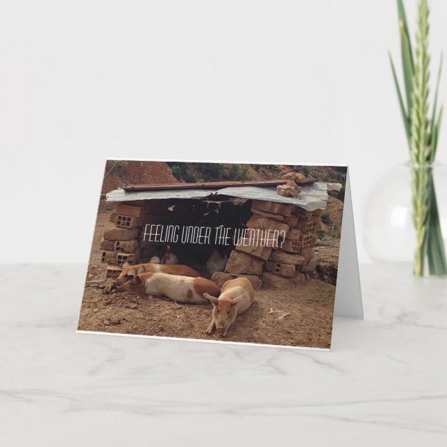 Cartão de Saudação de Suíno Simpatia (Frente)