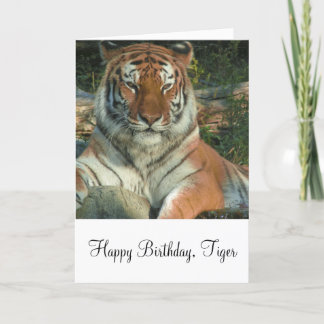 Cartão de Saudação de Tigre Siberiano