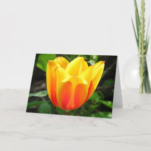 Cartão de Saudação de Tulipa Amarelo
