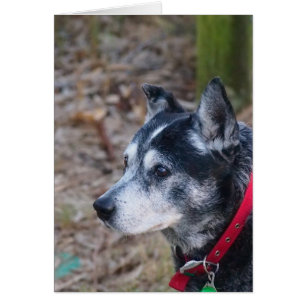 Cartão de saudação de vazio