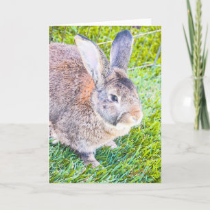 Cartão de Saudação de Vazio Bunny