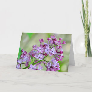 Cartão de saudação de vazio com Flores Lilac