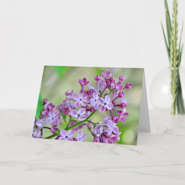 Cartão de saudação de vazio com Flores Lilac (Frente)