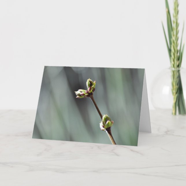 Cartão de saudação de vazio com foto de Budding Li (Frente)