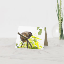 Cartão de saudação de vazio com Tree Kangaroo